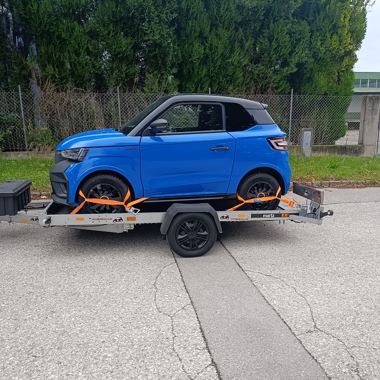 ligier verkaufen